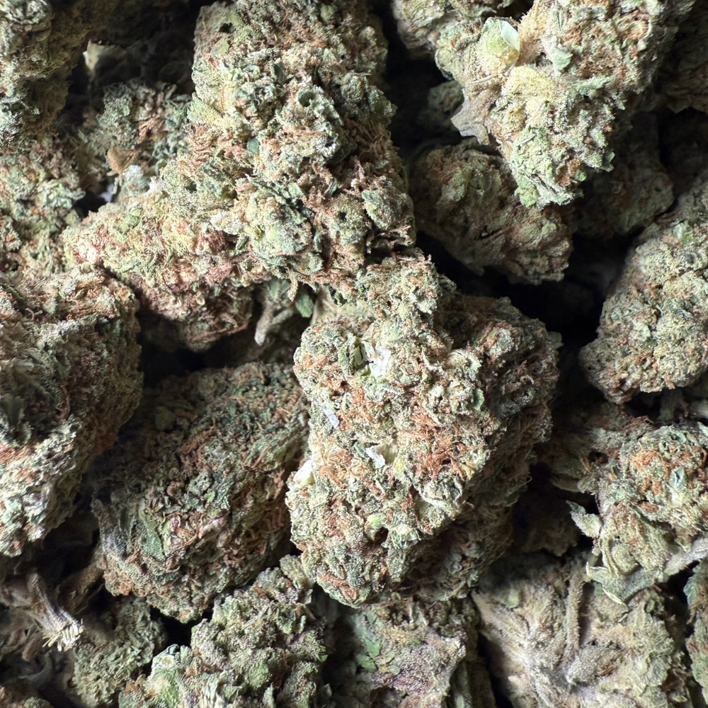 Confetti Greenhouse Standard