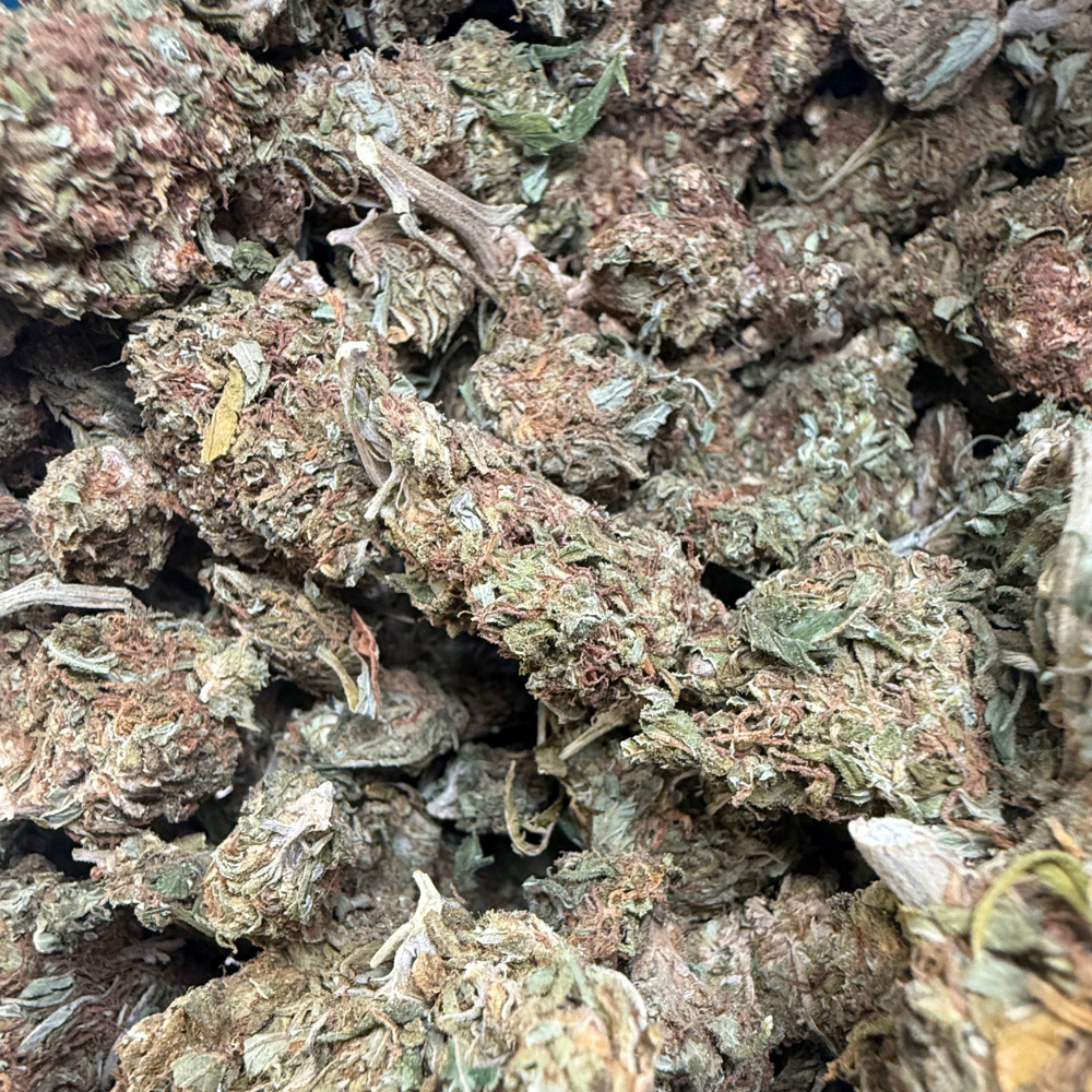 Fluffy Puffy Exterior Regular