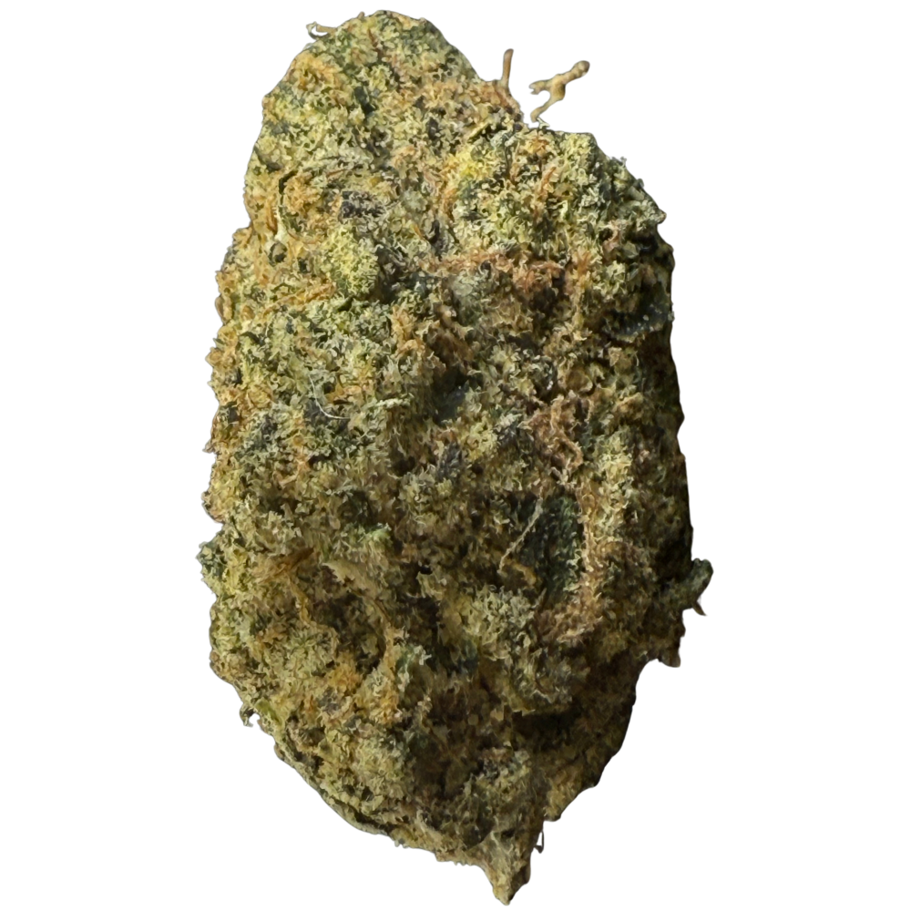 Pink Z Indoor Importada Top Shelf