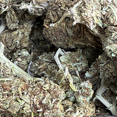 Cerrito Kush Exterior Regular Cerrito Kush Exterior Regular