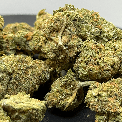 Apricot Gelato Greenhouse Exotic Apricot Gelato Greenhouse Exotic