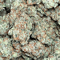 Chem Funk Indoor Hidropónica Chem Funk Indoor Hidropónica