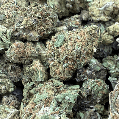 Northern Lights 2 Greenhouse