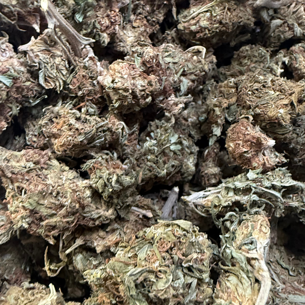 Fluffy Puffy Exterior Regular