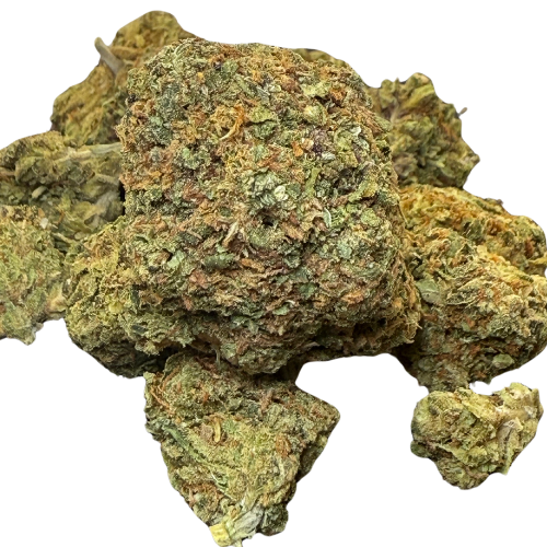 Orange Zkittlez Greenhouse Exotic Orange Zkittlez Greenhouse Exotic