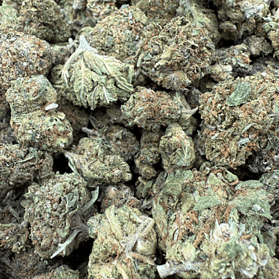 Northern Lights 2 Greenhouse