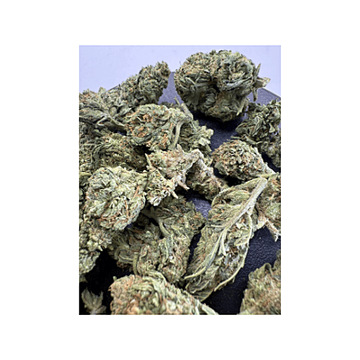 Blue Dream Greenhouse Exotic Living Soil