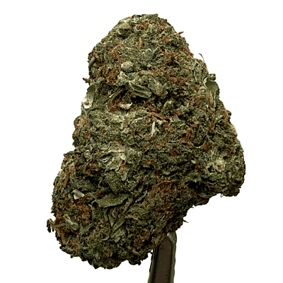 Sour Zkittlez Greenhouse Select