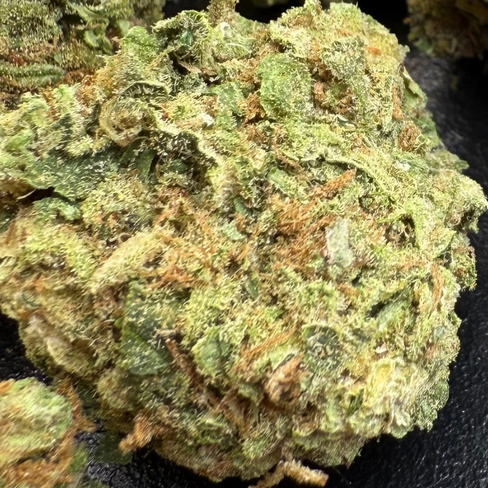 Confetti Greenhouse Standard