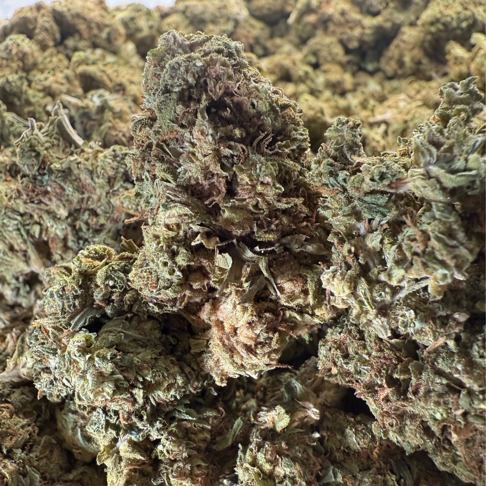 Maui Wowie Greenhouse Standard