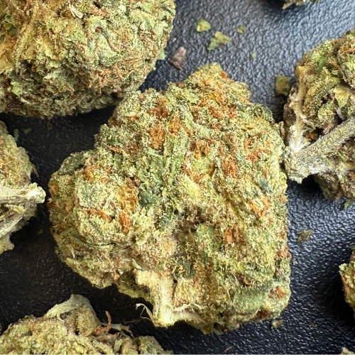Orange Zkittlez Greenhouse Exotic Orange Zkittlez Greenhouse Exotic