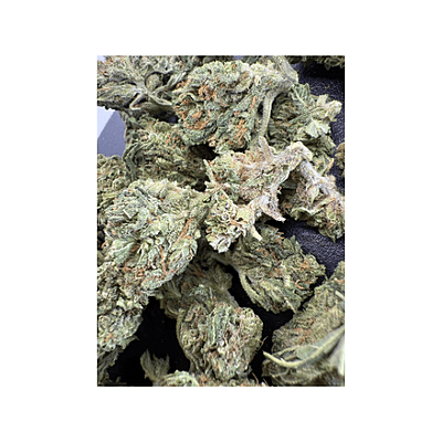 Blue Dream Greenhouse Exotic Living Soil