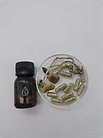 Cápsulas Tratamiento con Psilocybe Cubensis Golden Teacher Divinorum Cápsulas Tratamiento con Psilocybe Cubensis Golden Teacher Divinorum