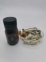 Cápsulas Tratamiento con Psilocybe Cubensis Golden Teacher Divinorum Cápsulas Tratamiento con Psilocybe Cubensis Golden Teacher Divinorum