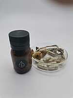 Cápsulas Tratamiento con Psilocybe Cubensis Golden Teacher Divinorum Cápsulas Tratamiento con Psilocybe Cubensis Golden Teacher Divinorum