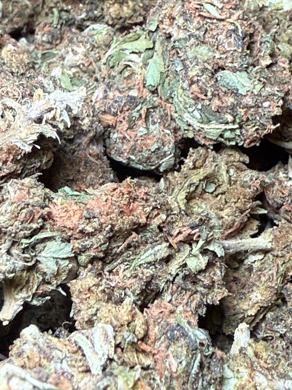 Chocolope Exterior