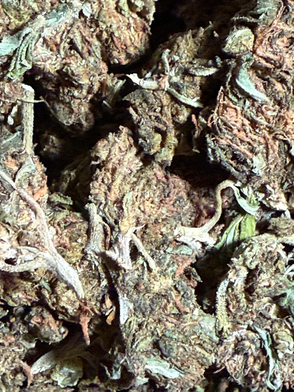Chocolope Exterior