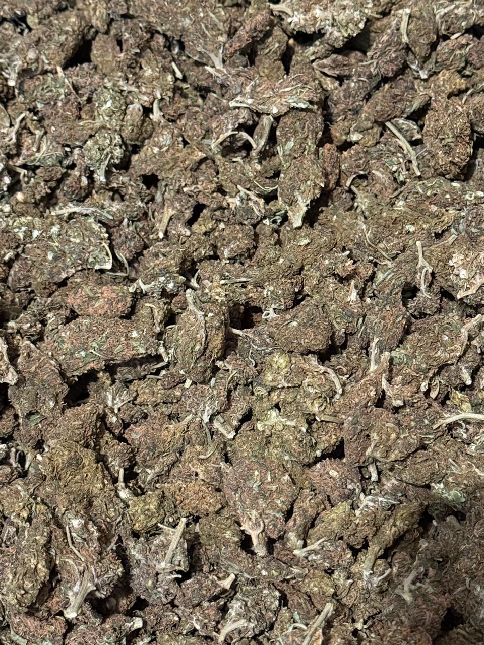 Chocolope Exterior