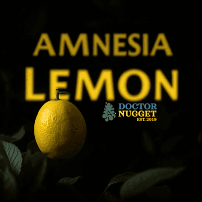  Doctor Nugget Amnesia Lemon THC