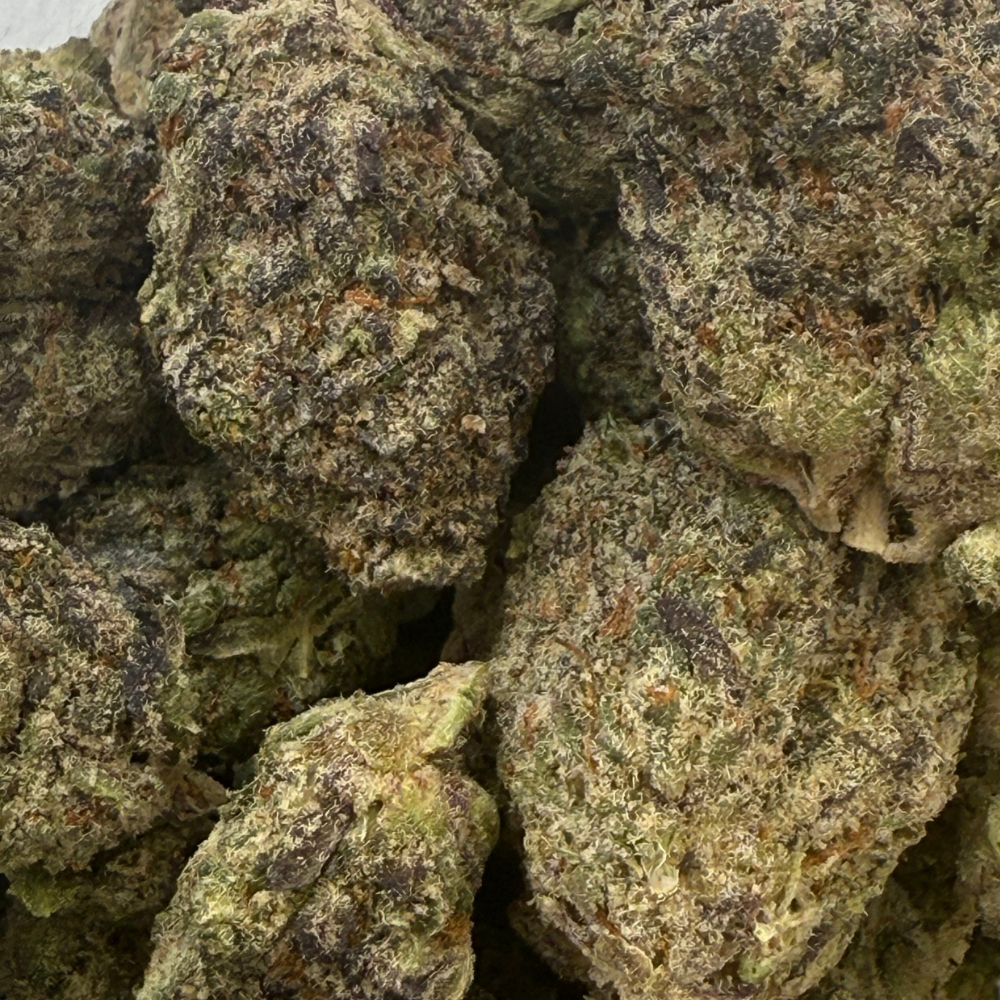 Black Cherry Gelato indoor premium importada