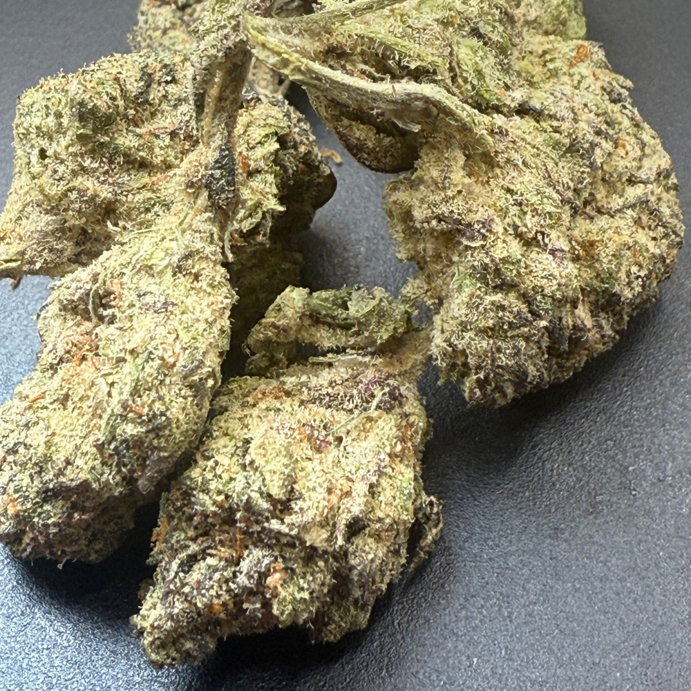 Black Cherry Gelato indoor premium importada