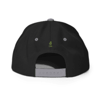 Gorra snapback Dr. Nugget Gorra snapback Dr. Nugget