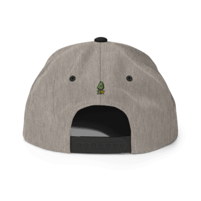 Gorra snapback Dr. Nugget Gorra snapback Dr. Nugget