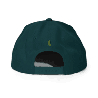 Gorra snapback Dr. Nugget Gorra snapback Dr. Nugget