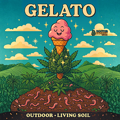 Gelato Exterior Premium Living Soil