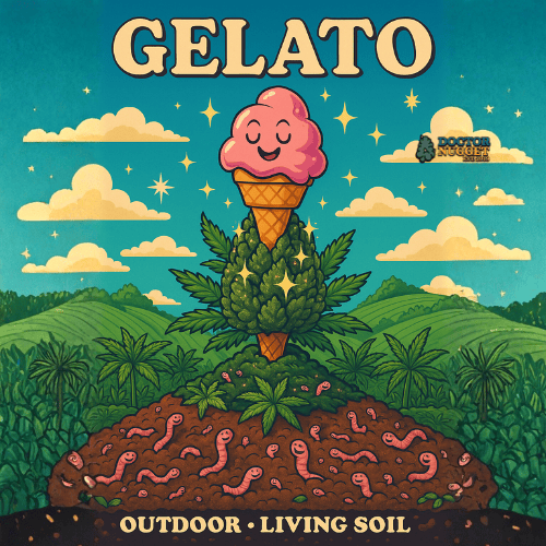 Gelato Exterior Premium Living Soil