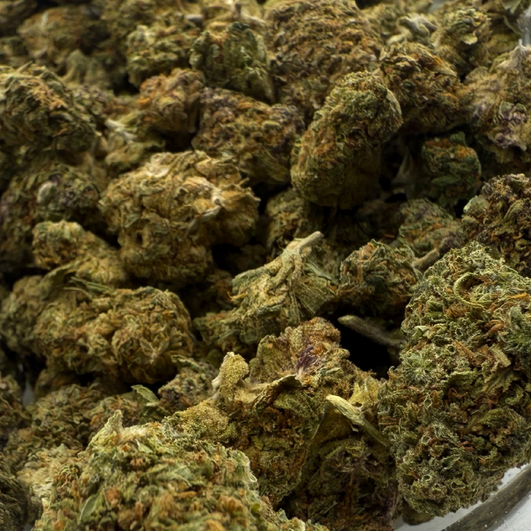 Girl Scout Cookies 2 Greenhouse Exotic