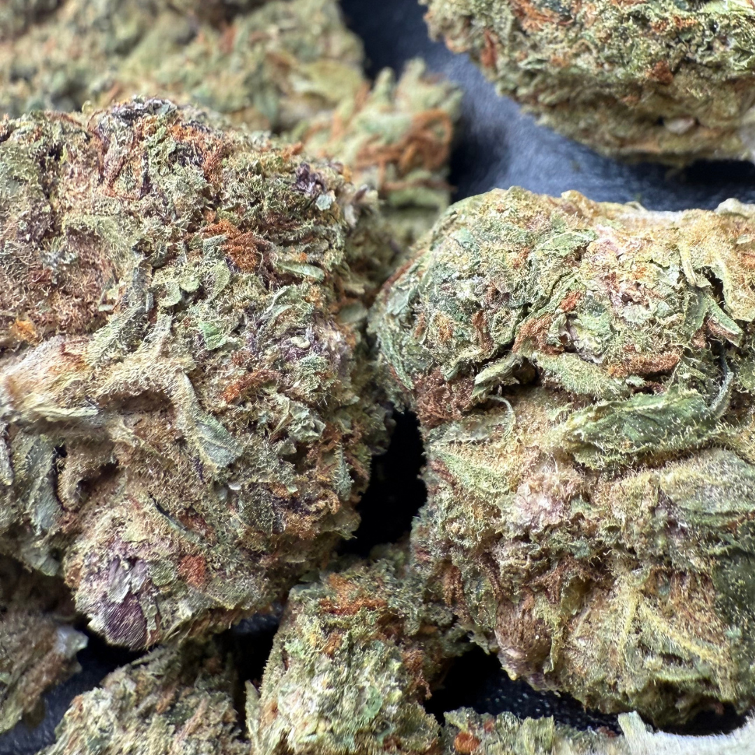 Girl Scout Cookies 2 Greenhouse Exotic