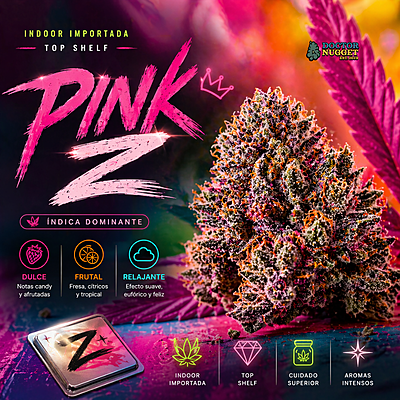 Pink Z Indoor Importada Top Shelf