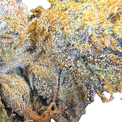 Pink GMO Top Shelf Pink GMO Top Shelf