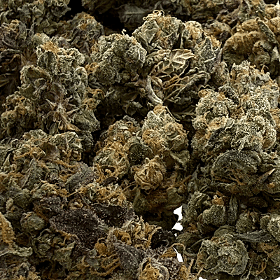 Pink GMO Top Shelf Pink GMO Top Shelf