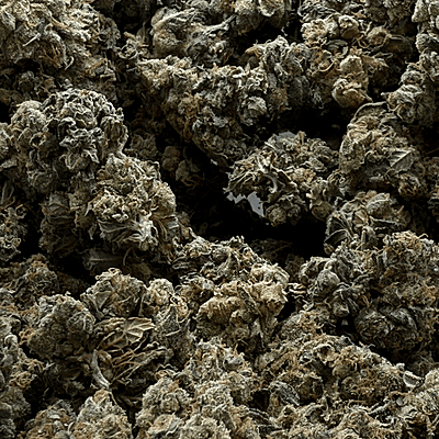 Pink GMO Top Shelf Pink GMO Top Shelf