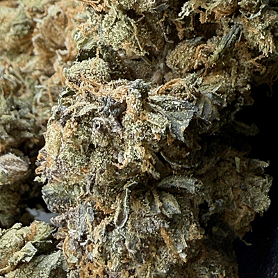 Pink GMO Top Shelf Pink GMO Top Shelf