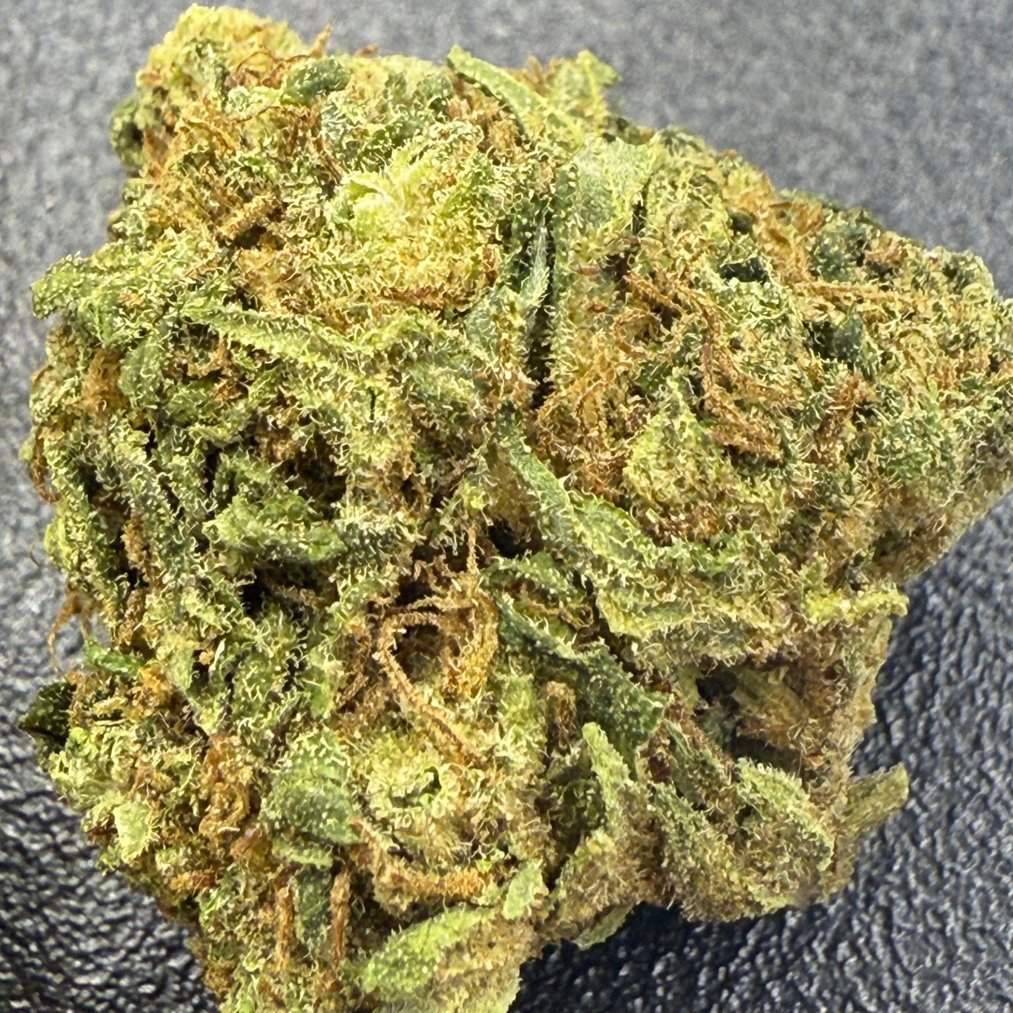 Super Silver Haze Greenhouse Exotic