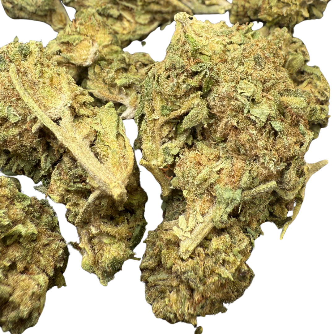 Trainwreck Indoor Básica