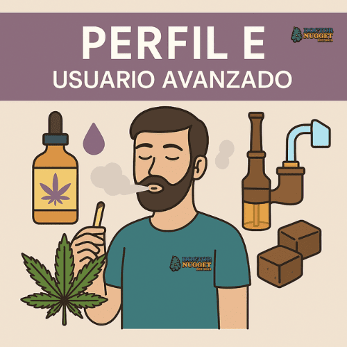 Perfil E – Usuario Avanzado